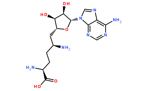 Sinefungin