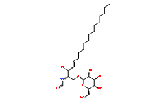 Cerebrosides (Ceramide galactosides)