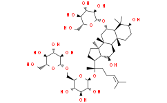 Notoginsenoside R3